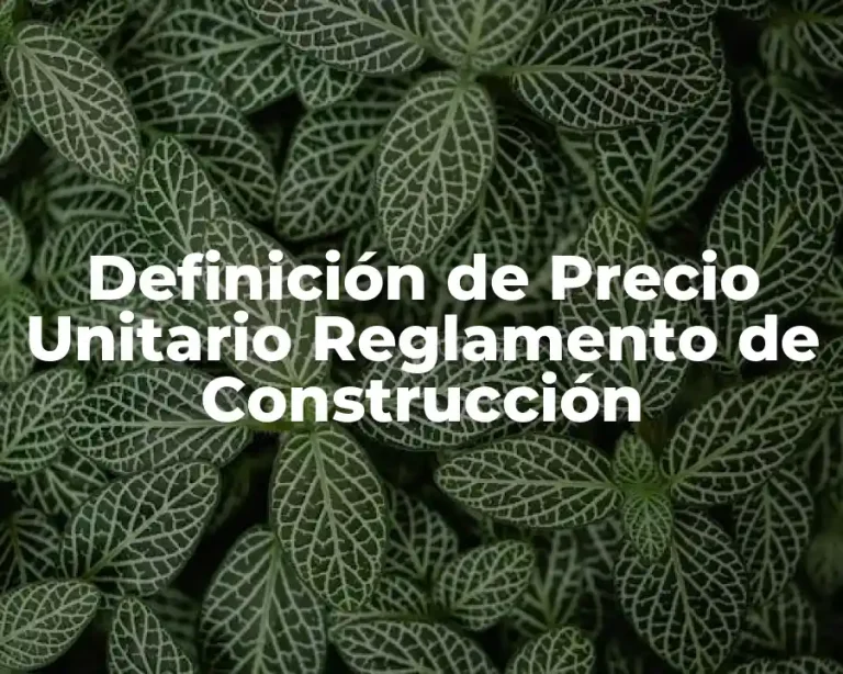 Definición de Precio Unitario Reglamento de Construcción