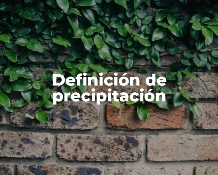 Definición de precipitación