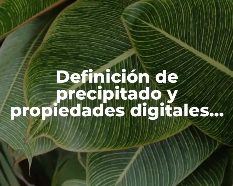 Definición de precipitado y propiedades digitales Yahoo