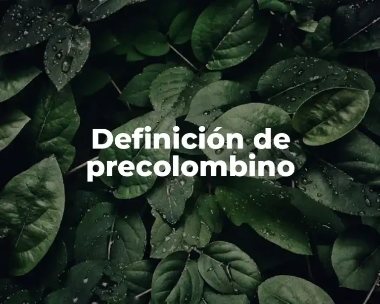 Definición de precolombino