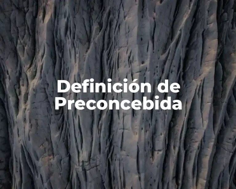 Definición de Preconcebida