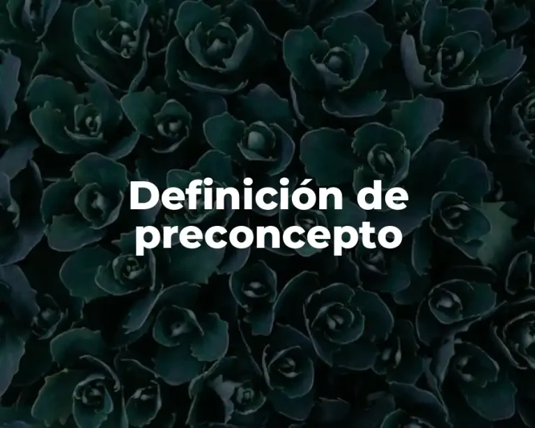Definición de preconcepto