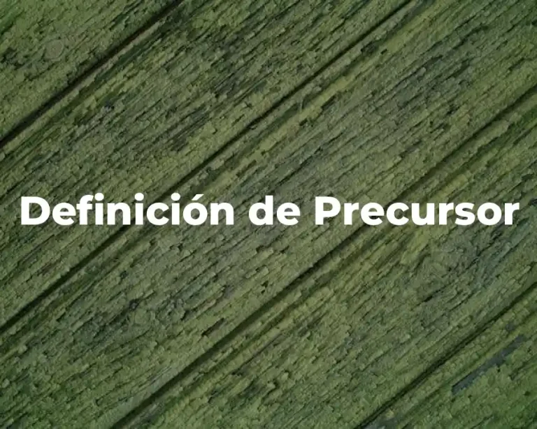 Definición de Precursor