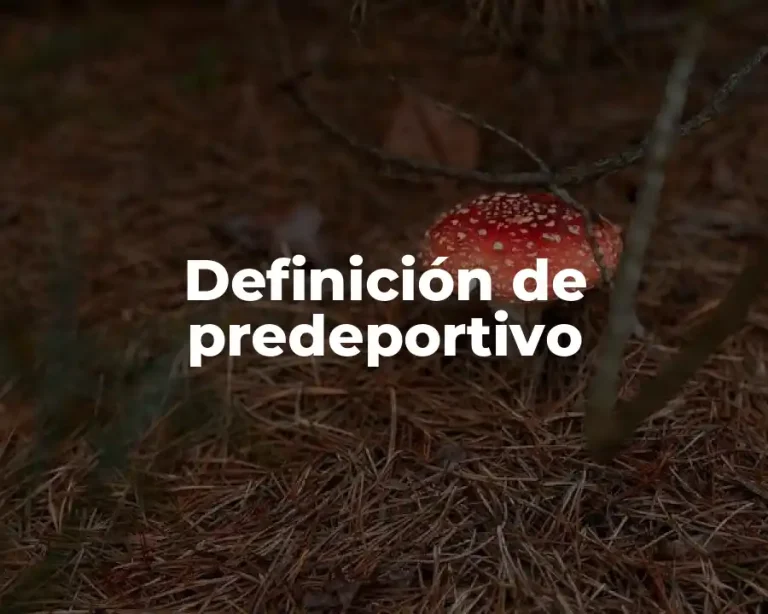 Definición de predeportivo