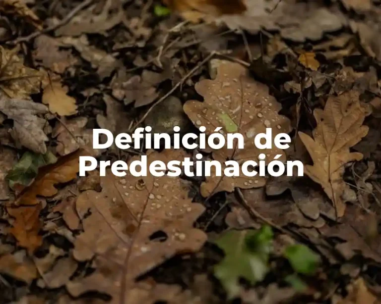 Definición de Predestinación