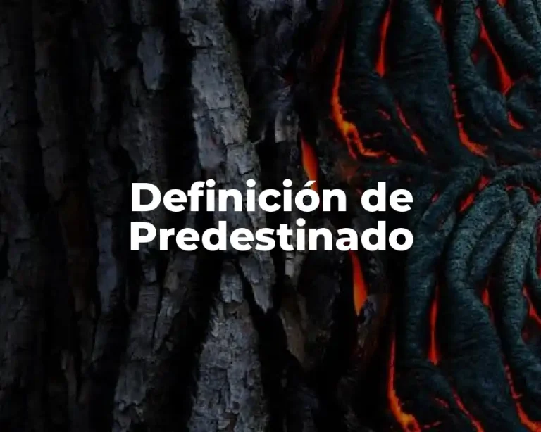 Definición de Predestinado
