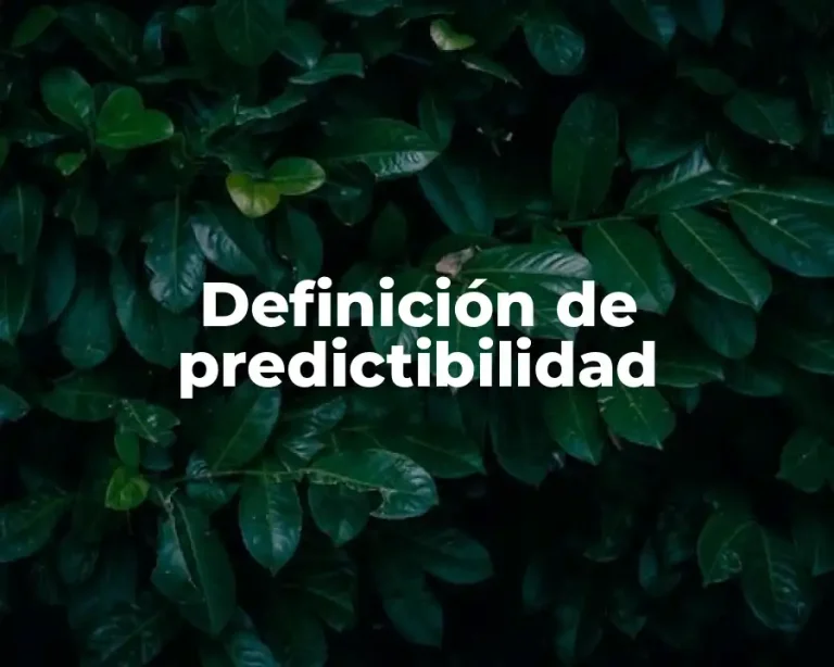Definición de predictibilidad