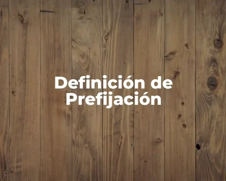 Definición de Prefijación