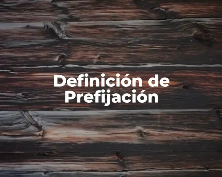 Definición de Prefijación