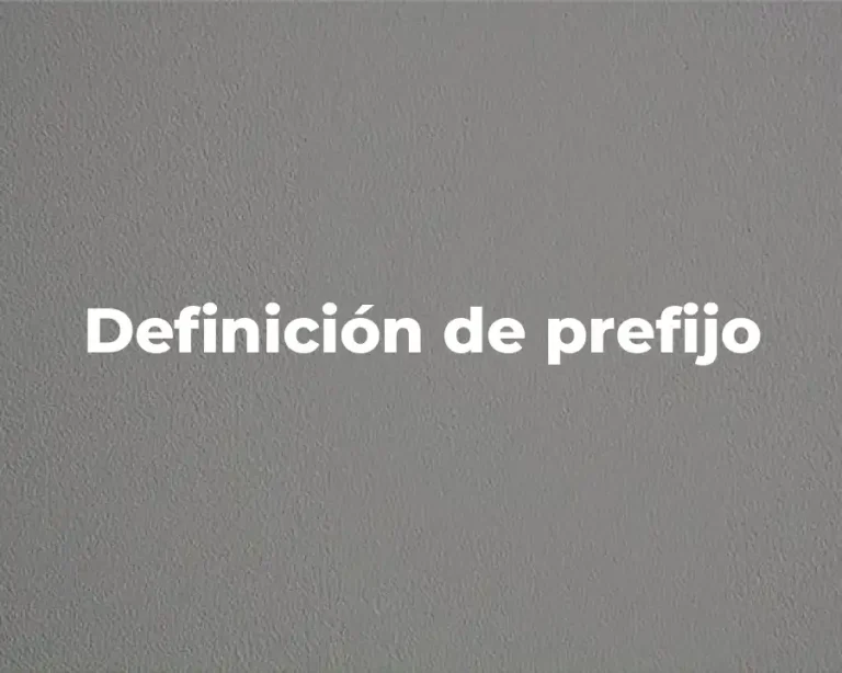 Definición de prefijo