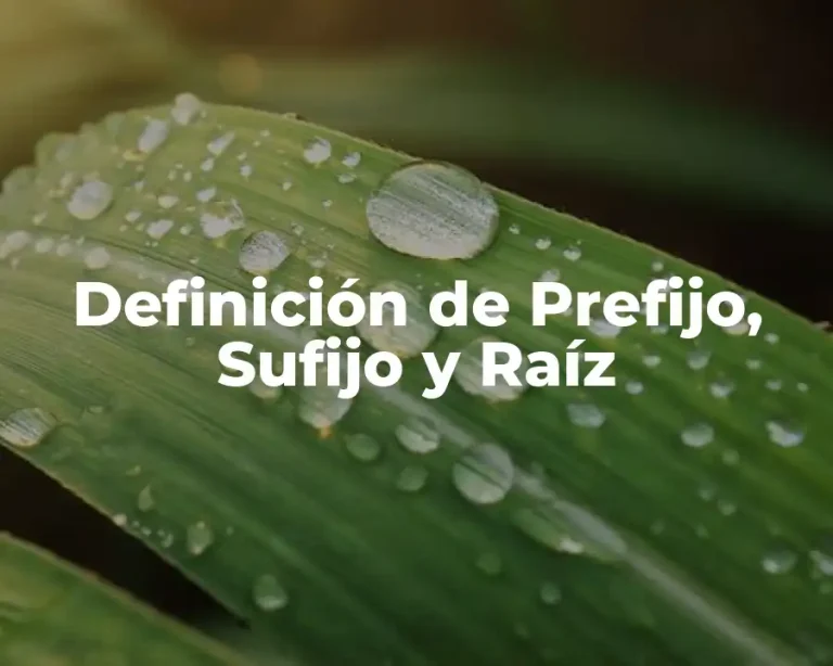 Definición de Prefijo, Sufijo y Raíz