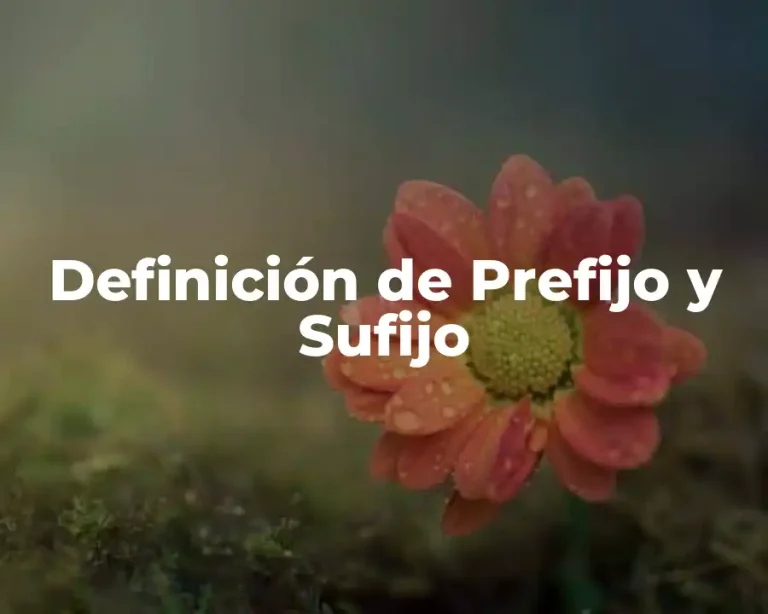 Definición de Prefijo y Sufijo