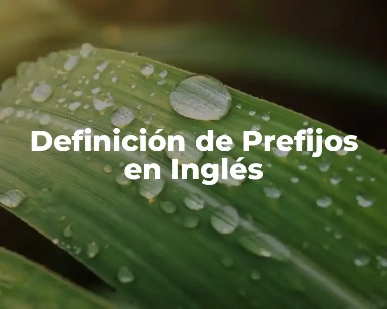 Definición de Prefijos en Inglés