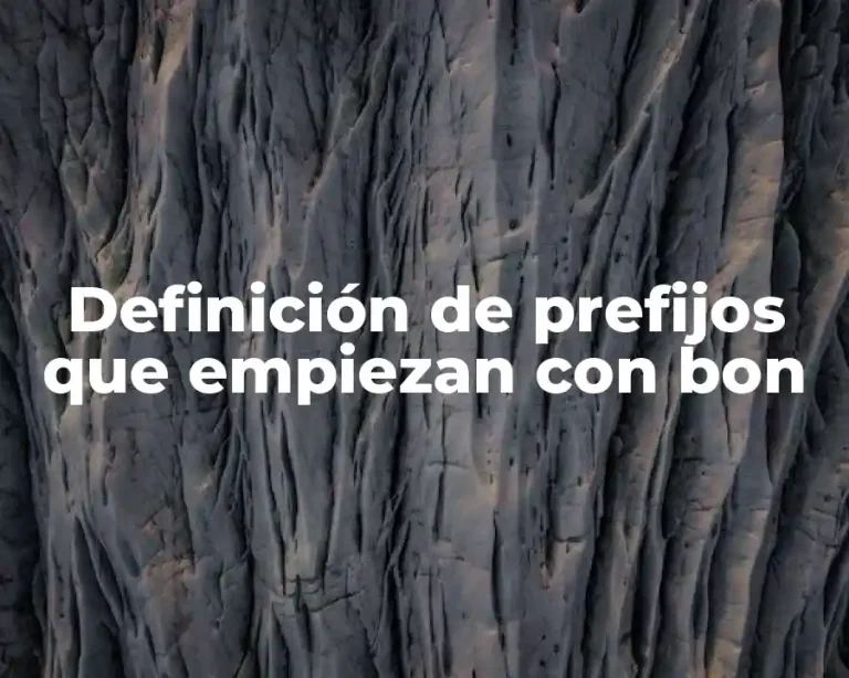 Definición de prefijos que empiezan con bon
