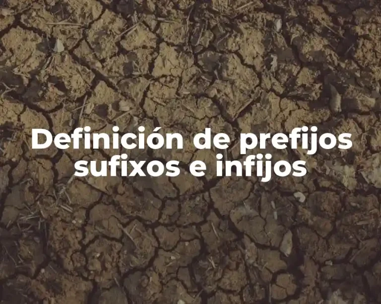 Definición de prefijos sufixos e infijos