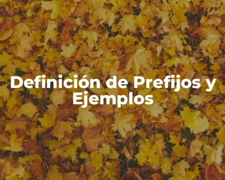 Definición de Prefijos y Ejemplos