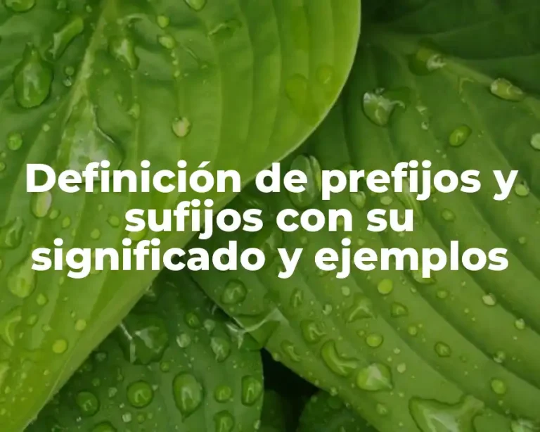 Definición de prefijos y sufijos con su significado y ejemplos