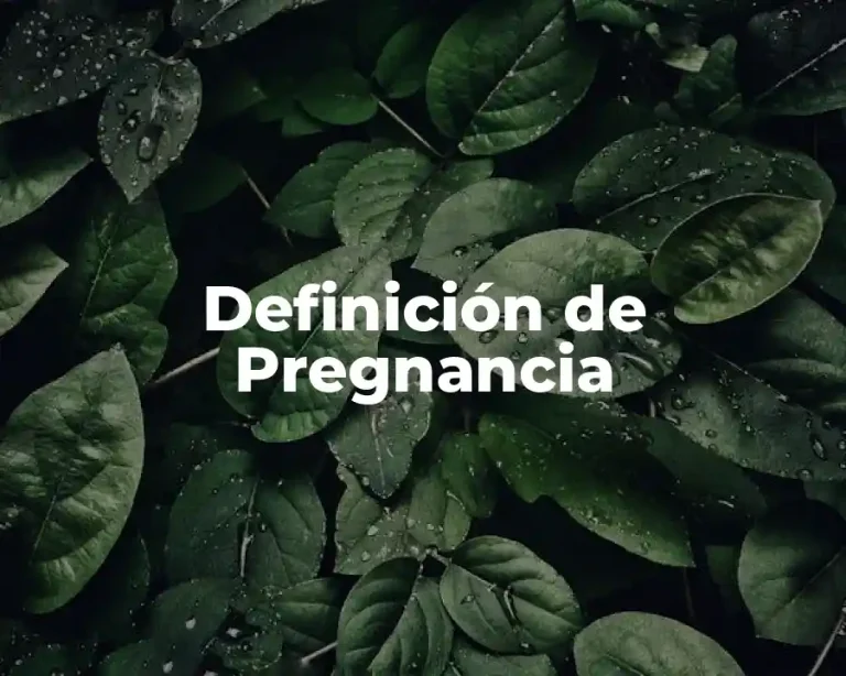 Definición de Pregnancia