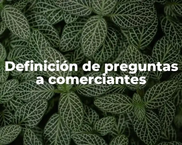 Definición de preguntas a comerciantes