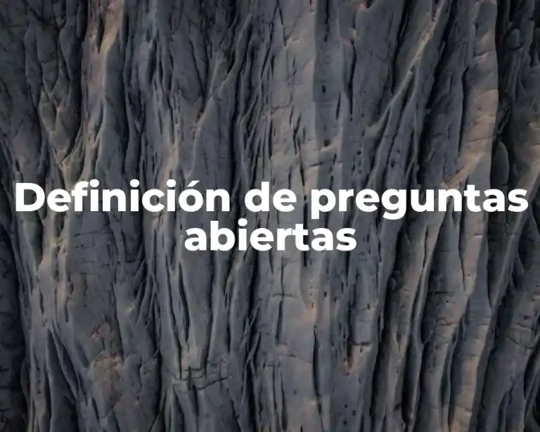 Definición de preguntas abiertas