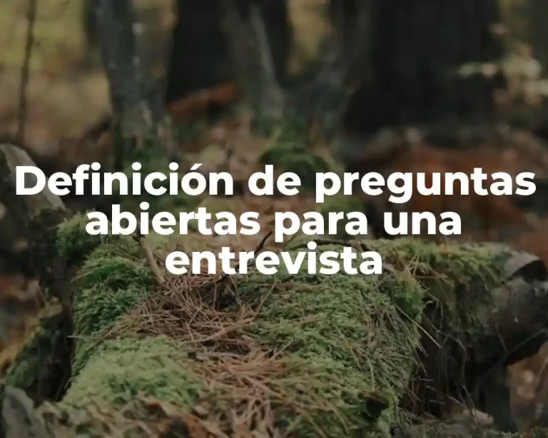 Definición de preguntas abiertas para una entrevista