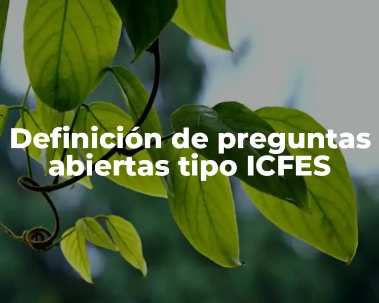 Definición de preguntas abiertas tipo ICFES