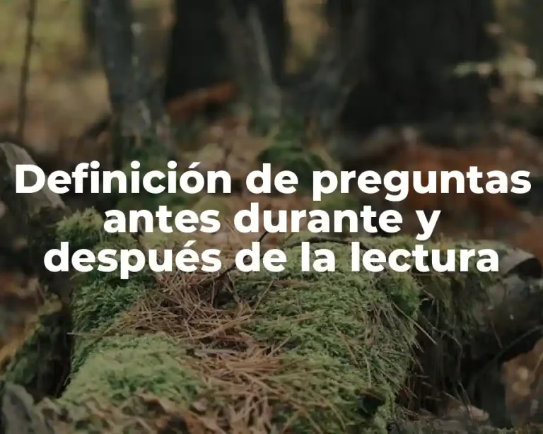 Definición de preguntas antes durante y después de la lectura