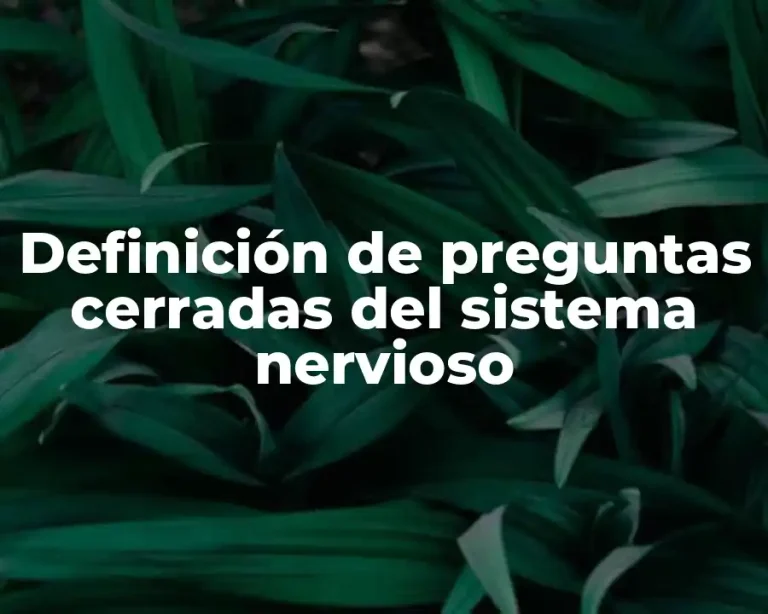 Definición de preguntas cerradas del sistema nervioso
