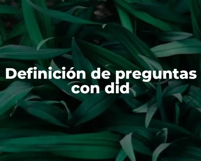 Definición de preguntas con did