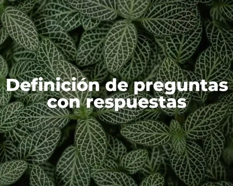 Definición de preguntas con respuestas