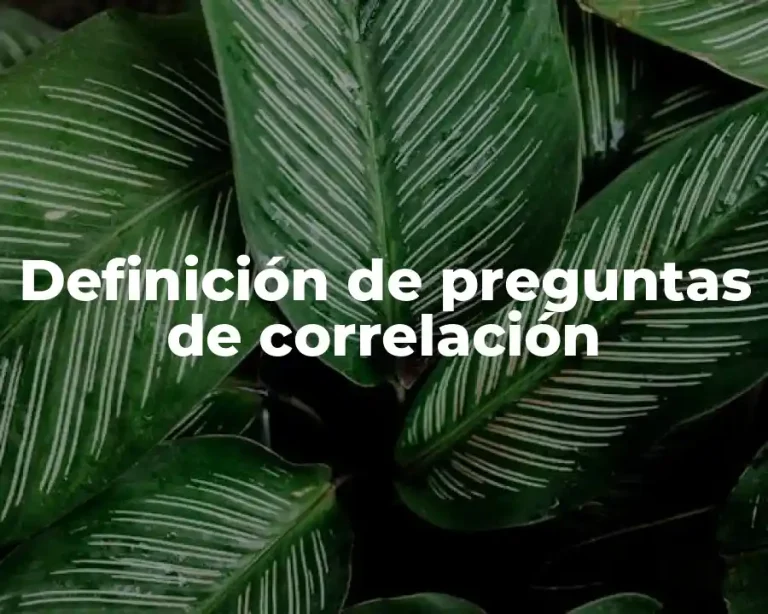 Definición de preguntas de correlación