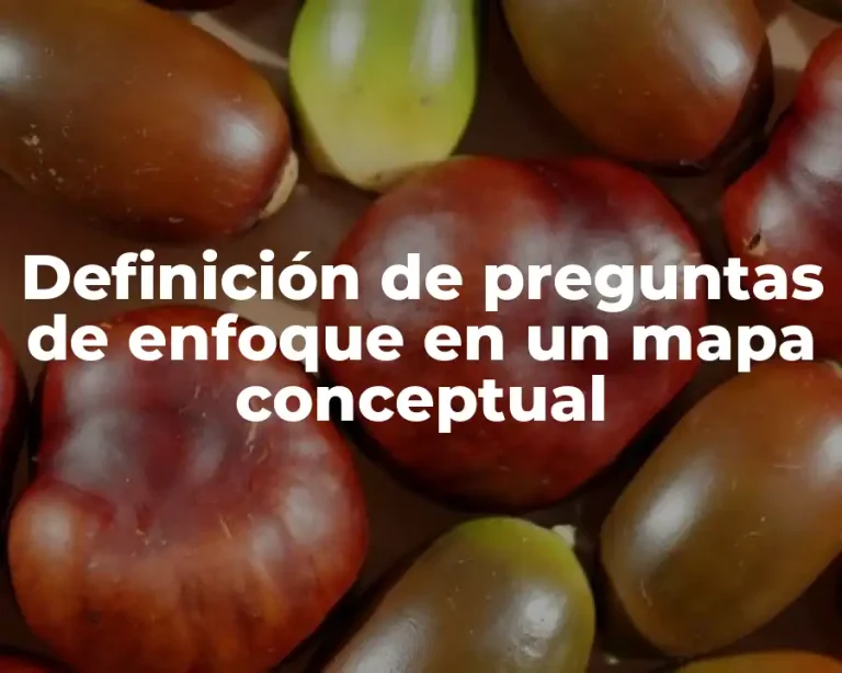 Definición de preguntas de enfoque en un mapa conceptual
