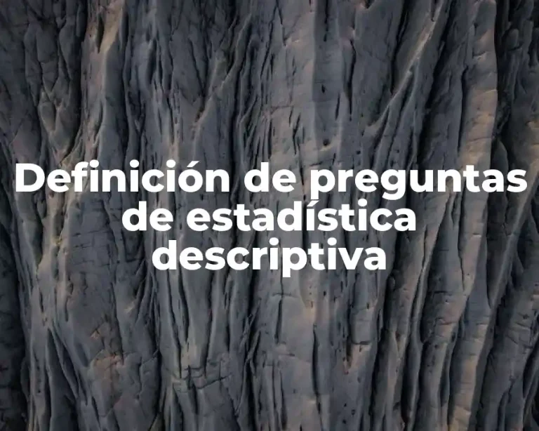 Definición de preguntas de estadística descriptiva
