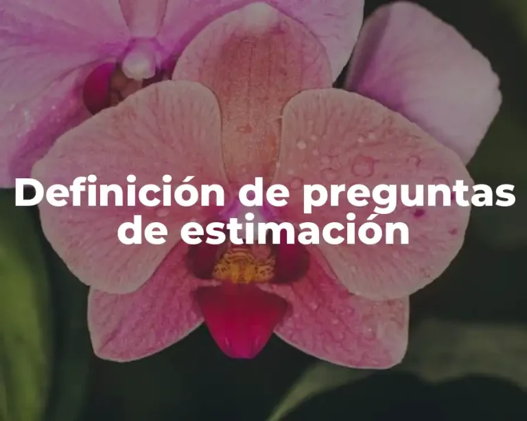 Definición de preguntas de estimación