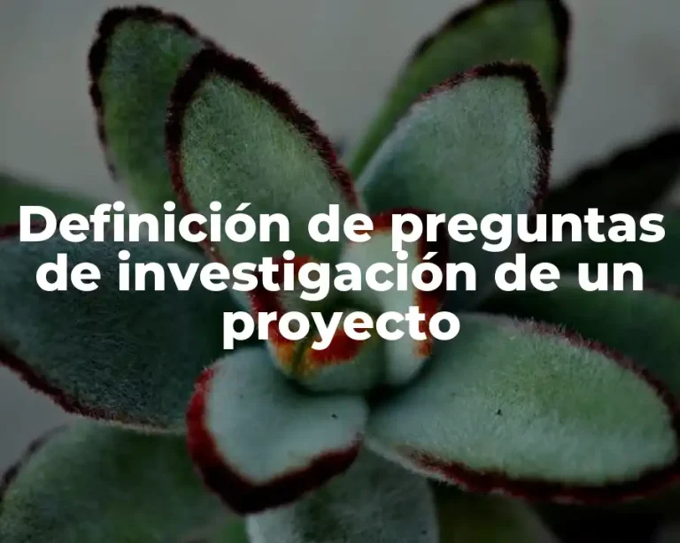 Definición de preguntas de investigación de un proyecto
