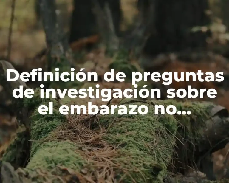 Definición de preguntas de investigación sobre el embarazo no deseado