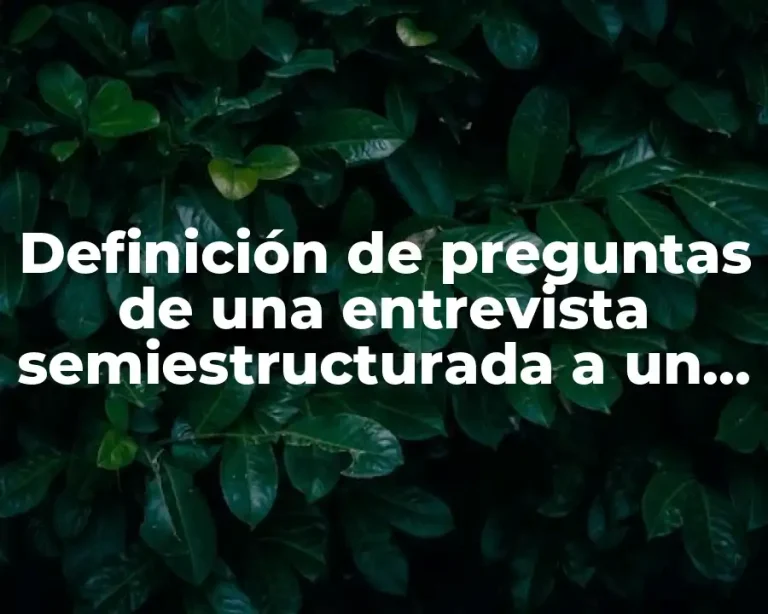 Definición de preguntas de una entrevista semiestructurada a un carpintero