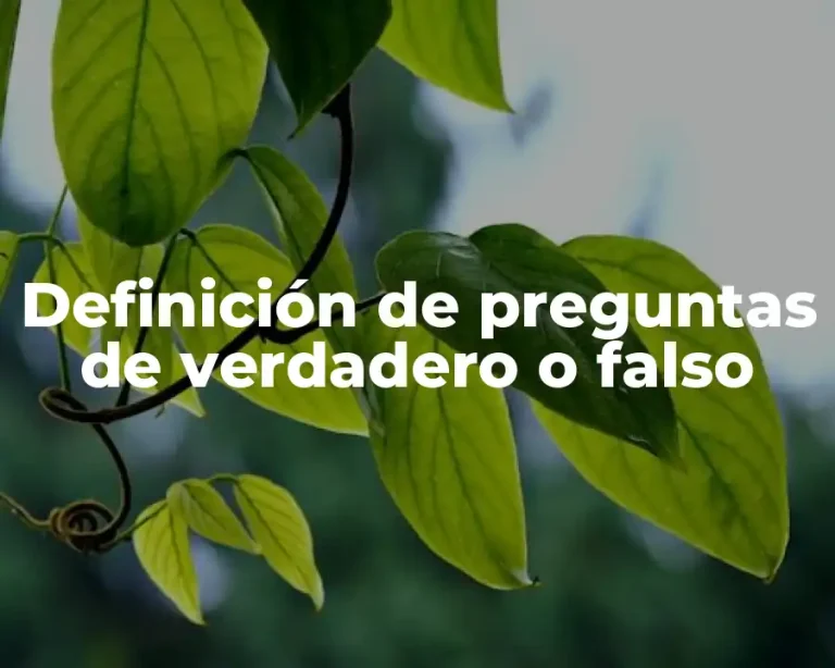 Definición de preguntas de verdadero o falso