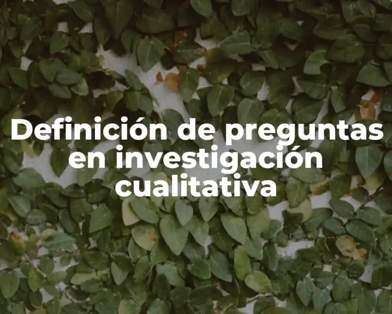 Definición de preguntas en investigación cualitativa