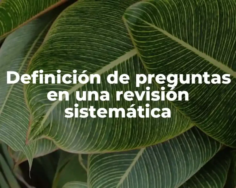 Definición de preguntas en una revisión sistemática