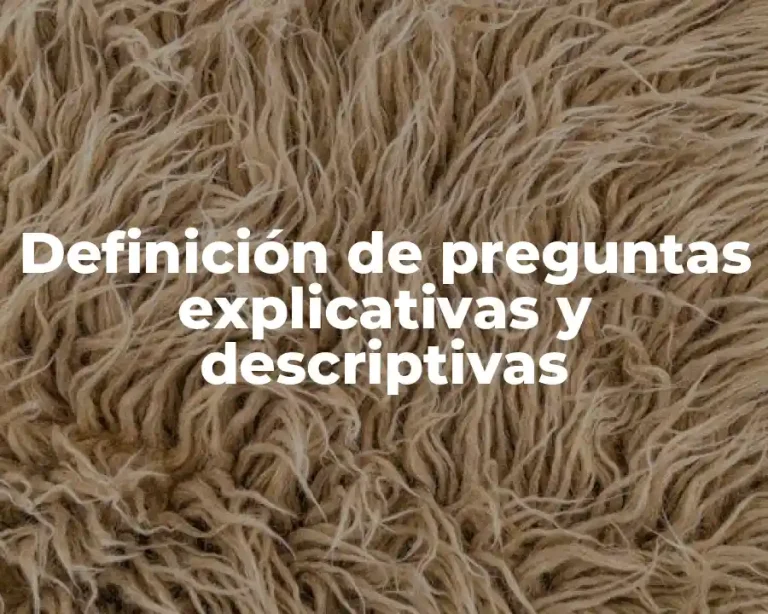 Definición de preguntas explicativas y descriptivas