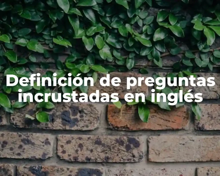Definición de preguntas incrustadas en inglés