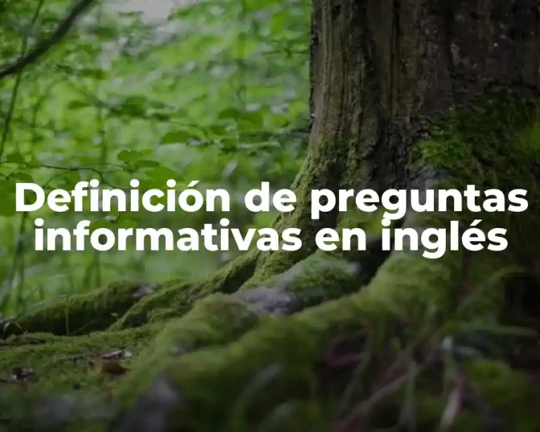 Definición de preguntas informativas en inglés