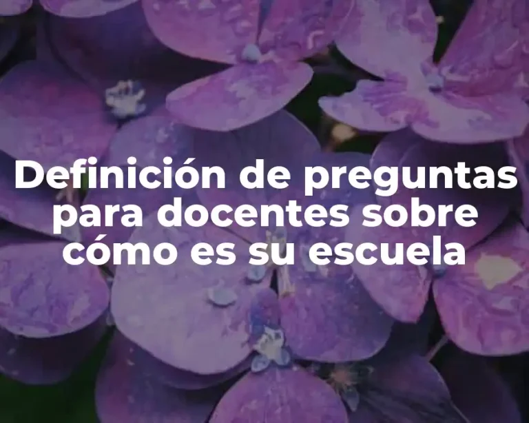 Definición de preguntas para docentes sobre cómo es su escuela