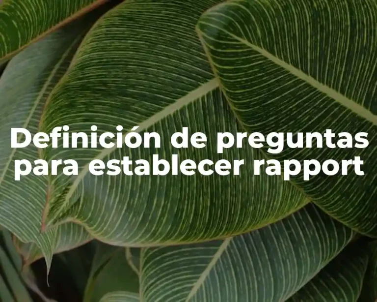 Definición de preguntas para establecer rapport