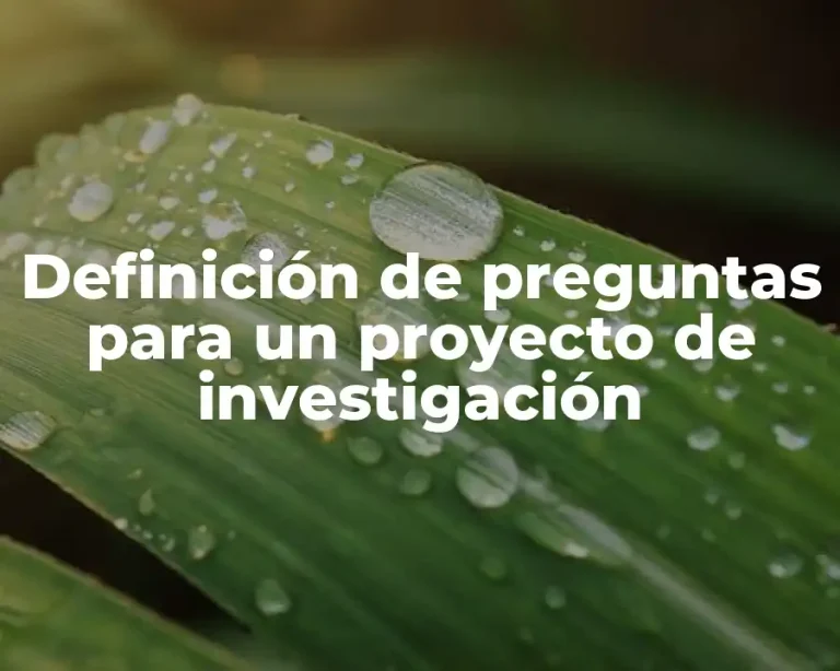 Definición de preguntas para un proyecto de investigación