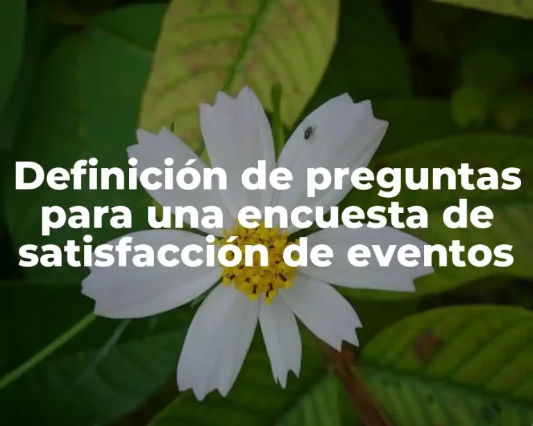 Definición de preguntas para una encuesta de satisfacción de eventos