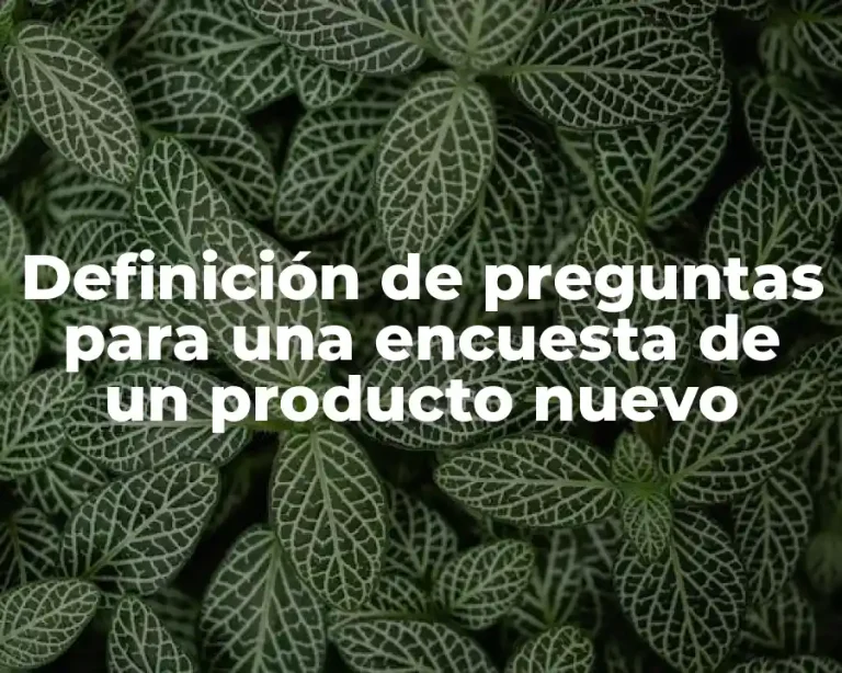 Definición de preguntas para una encuesta de un producto nuevo