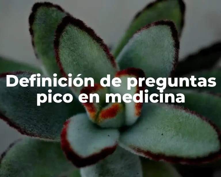 Definición de preguntas pico en medicina