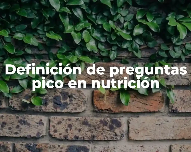 Definición de preguntas pico en nutrición